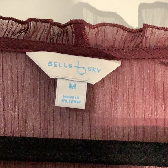 Belle Sky Burgundy Mesh Top - Picture 5 of 5